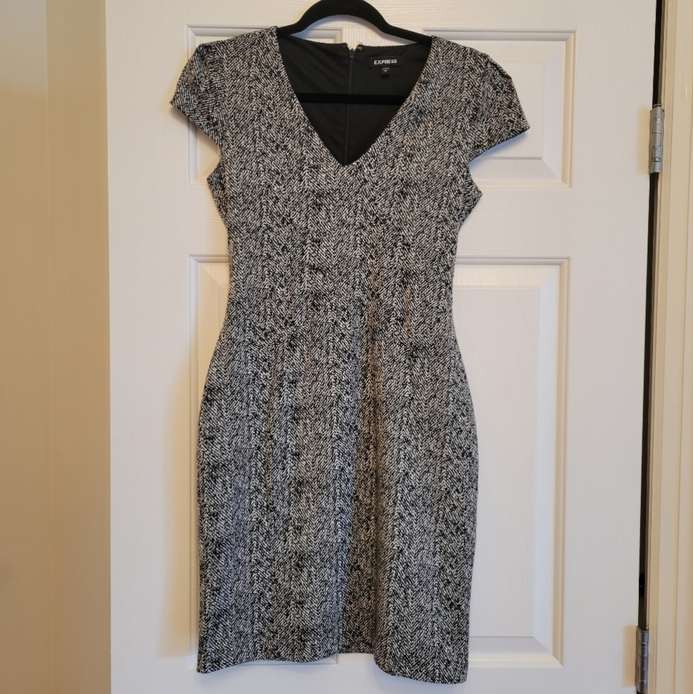 Gorgeous Express Dress